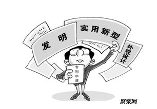 專(zhuān)利申請(qǐng)初步審查的范圍